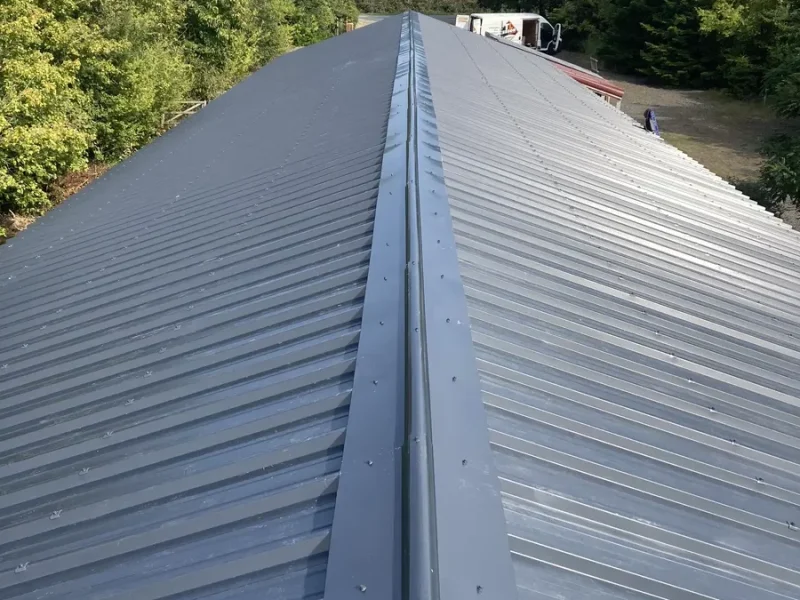 Réalisation de charpente par Tesson Laurent, menuisier charpentier à Saint Julien des Landes